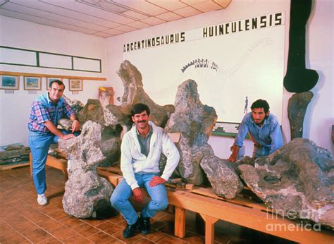 Argentinosaurus Dinosaur Discoverers And Fossils Photograph by Carlos ...