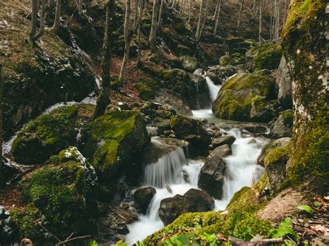 mountain forest waterfall wallpaper - Coolwallpapers.me!