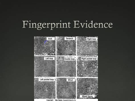 What Is Fingerprint Evidence At Betty Bauer Blog