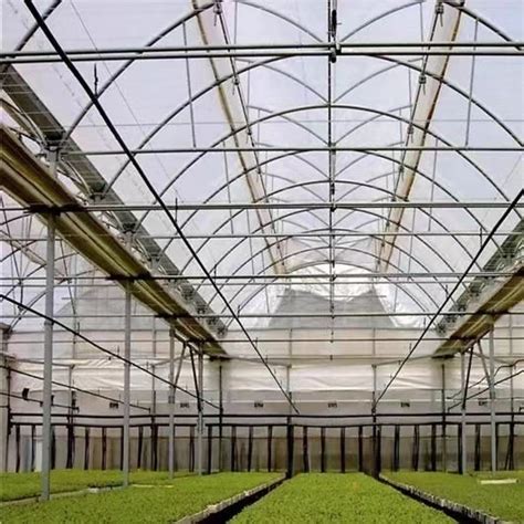 Modern Multi Span High Tunnel Plastic Film Polycarbonate Hydroponic