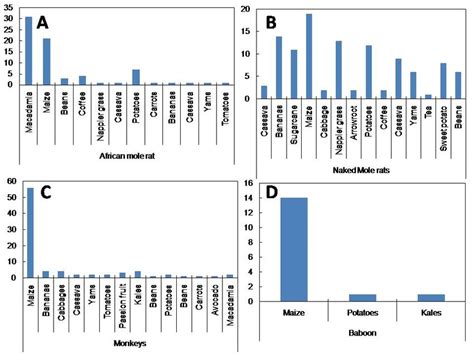 Number Of Incidences During Which The African Mole Rat A Naked Mole