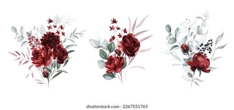 8,009 Fleur Aquarelle Bordeau Illustration Images, Stock Photos ...