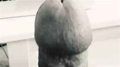 Zuchini Und Gurken Free Gay HD Videos HD Porn Video Ab XHamster