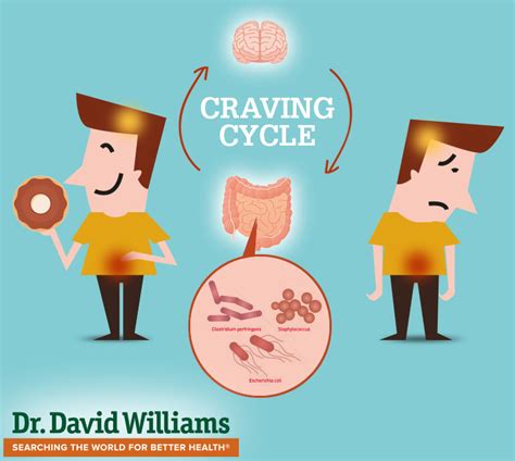 Gut Bacteria May Influence Food Cravings | Dr. David Williams