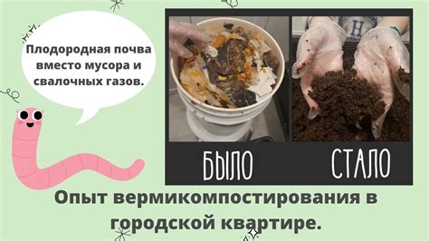 БЕСПЛАТНЫЙ БИОГУМУС - или как организовать верми-ферму - YouTube