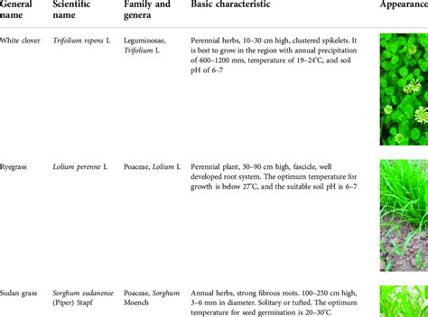 Selected plants and their basic characteristics. | Download Scientific ...