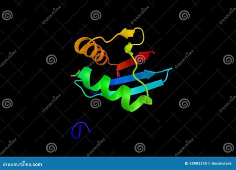 Mitogen Aktivierte Kinasekinasekinase Ein Enzym Invo Stock Abbildung