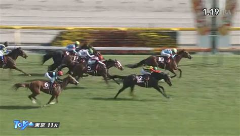 京王杯スプリングカップ よっしーの競馬日記