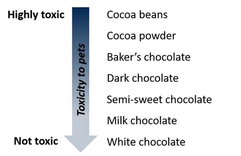 Chocolate Poisoning in Dogs | Animal Health Topics / School of ...