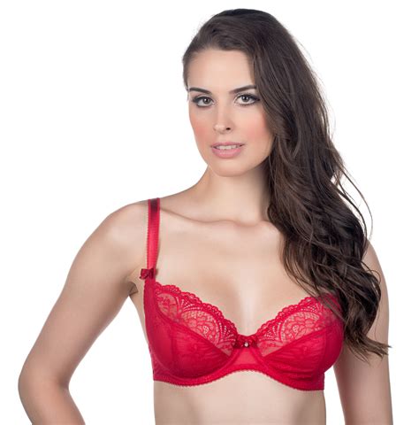 Alegro Innocent Lily Sheer Lace Unlined Plunge Bra 9005a Ebay