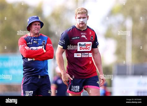 thomas flegler   dolphins nrl training session  bishop park
