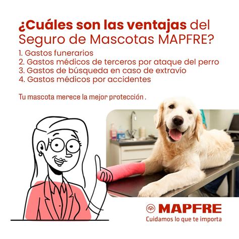 Mapfre México On Twitter Sabemos Que Tus Mascotas Son Parte Fundamental De Tu Vida Y Sabemos