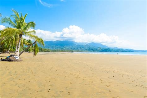 Marino Ballena National Park Em Uvita Punta Uvita Praias Bonitas E