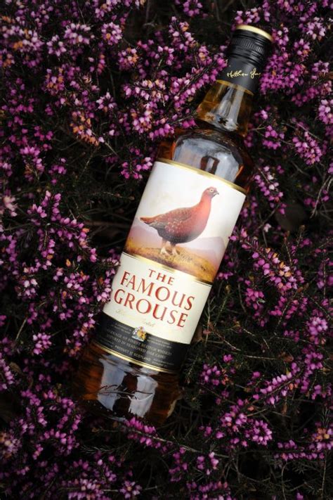 famous_grouse_new_02 — POPSOP