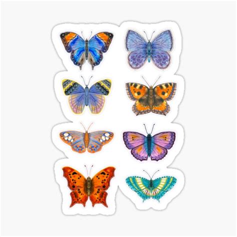 Butterfly Pattren Aesthetic Sticker Butterflies Sticker Pack Stickers