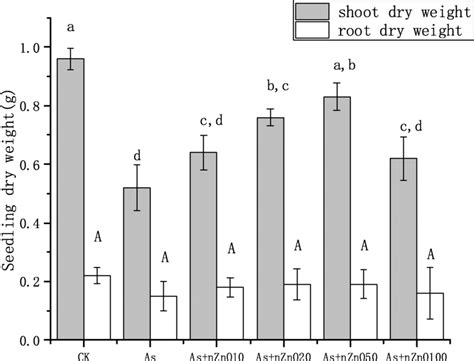 Biomass Of The Shoots And Roots Of Rice Seedling Grown In Different