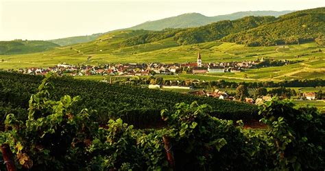 STAUB - French Premium Cookware