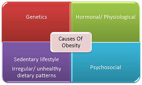 COCP - About Obesity - Causes of Obesity