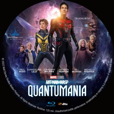 Covercity Dvd Covers Labels Ant Man And The Wasp Quantumania