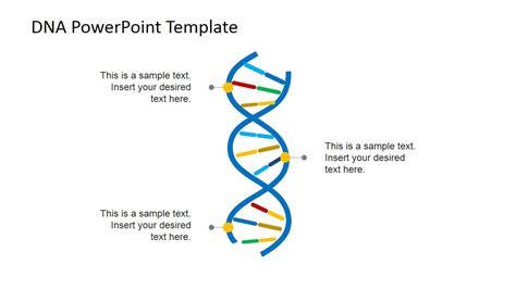 Template And Non Template Strand Of Dna