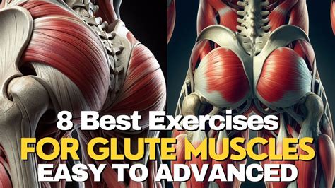 Best 8 Exercises For Glutes Gluteal Bum Muscles Glutes Exercises Gluteal Squats Lunges