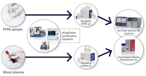 Thermo Fisher On Twitter APP Note Learn About Assay Measurement