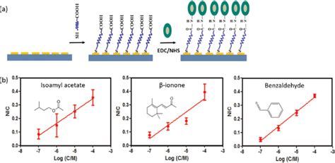 A Odorant Binding Proteins Covalently Immobilized On Polyethylene