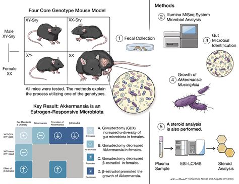 Benard Ogola - Research & Publications
