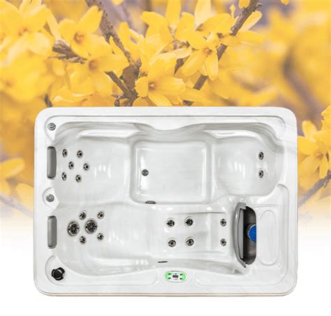 Forsythia 3 Person Hot Tub Pools Spas Patios