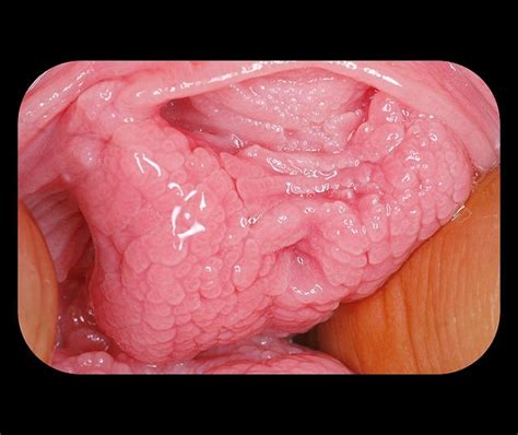 The Fucking Toy Tokyo Hot 東京熱