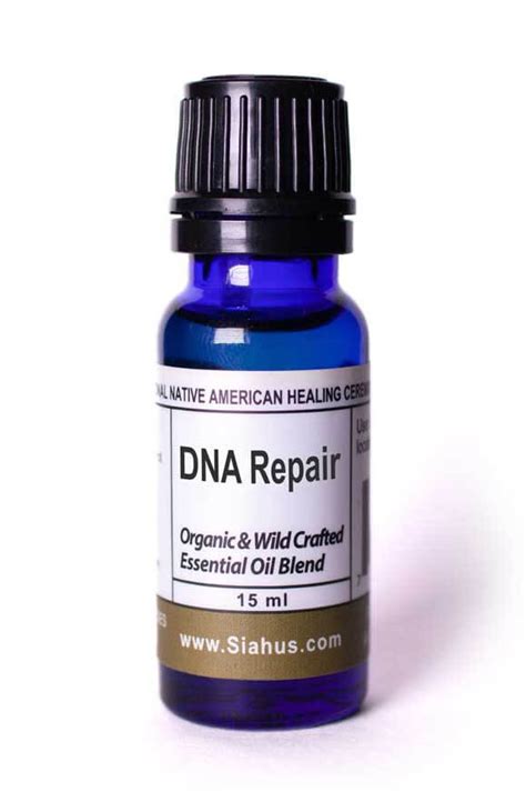 DNA Repair - Siahus.com 