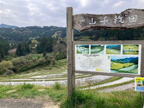 ちずらぼ on Twitter RT tmrmt 今日は鴨川市大山千枚田を訪れております水が張られています