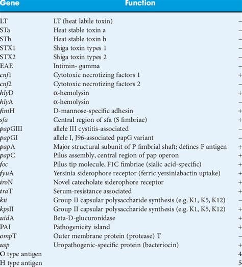 Genetic And Serologic Analysis Of UPEC SR71 Strain Performed At The E