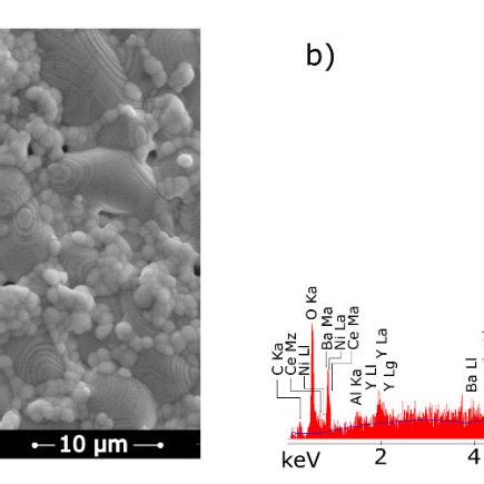 (a) Scanning electron microscopy (SEM) micrograph of the surface of the ... 