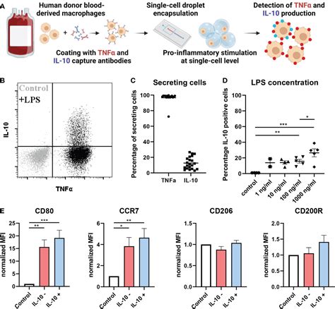 Frontiers Single Cell Analysis Reveals TLR Induced Macrophage