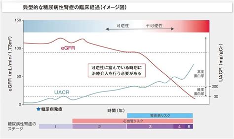 早期診断早期治療介入の意義 2型糖尿病を合併する慢性腎臓病の早期診断早期治療介入の意義座談会ケレンディアRenal CONNECT