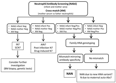 Neonatal Alloimmune Neutropenia Diagnosis And Management Of Italian