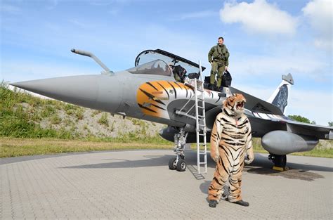 Le mamouth: Tiger ! Tiger ! Tiger ! (exclu)