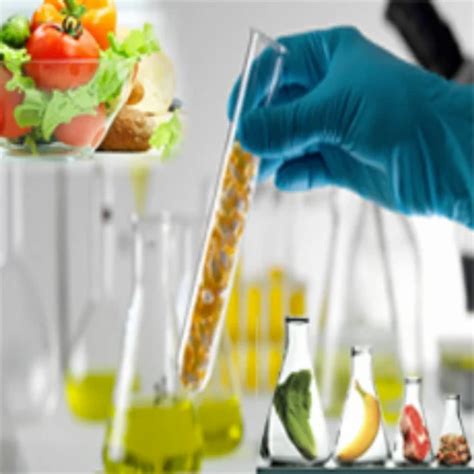 Food Laboratory Testing Services at Rs 5000 in Greater Noida | ID: 2851858710930