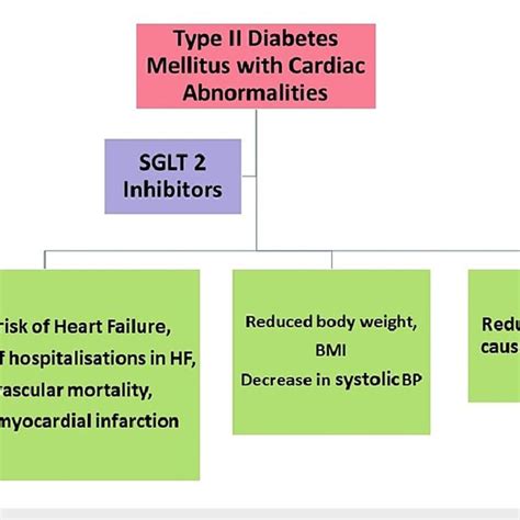 Describes the uses of SGLT2 inhibitors in type 2 diabetes mellitus ...