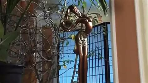 Free German Retro Porn Videos XHamster