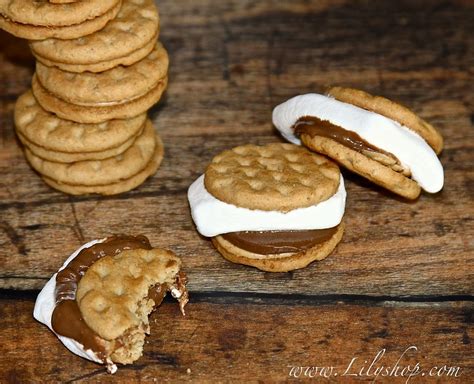 Girl Scout Cookie Recipes For Kids Popsugar Moms