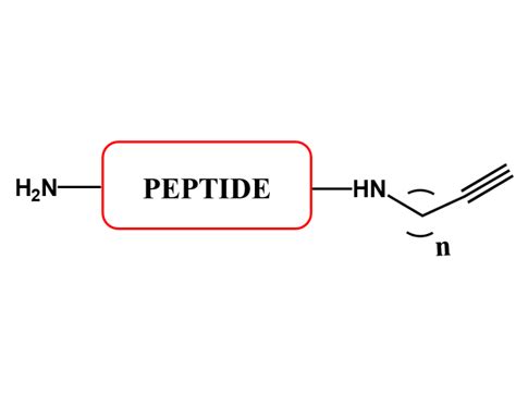 C-Terminal Peptide Modifications – DeliverTides