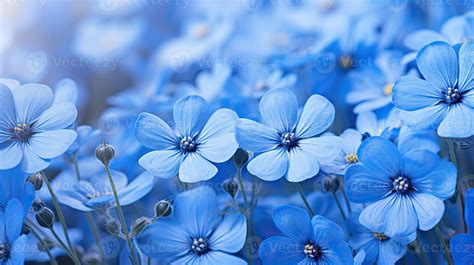 AI generated floral blue flowers background ai generated 39365752 Stock ...