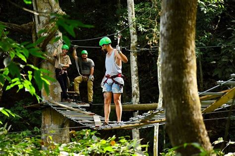 Rainforest Adventures In Adrenaline Extreme Jac Triphobo