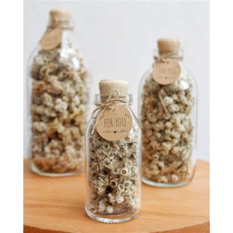 Jual dried flower in bottle - dried flower in jar - dried flower ...