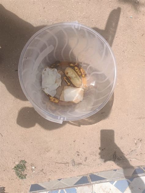 Kyuk Women Why Sex Relationships Kenya Talk