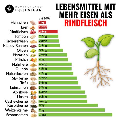 Vegane Lebensmittel Mit Mehr Eisen Als Rindfleisch Deutschland Is S T