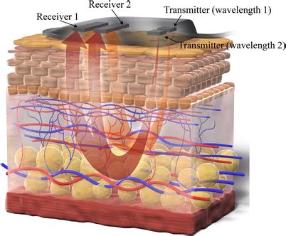 Image of a measurement using near infrared spectroscopy (NIRS). Two ... 