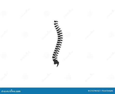 Human Spine Anatomy Backbone Icon Vector Illustration